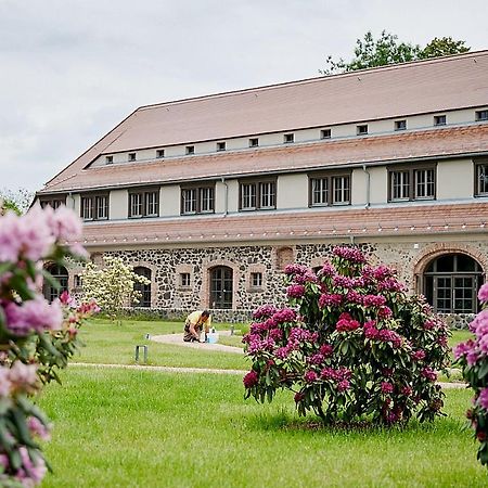 Gut Am See 格尔利茨 外观 照片